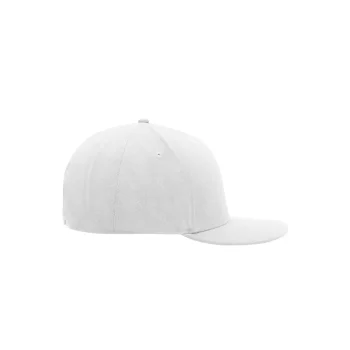 6 Panel Pro Cap Style
