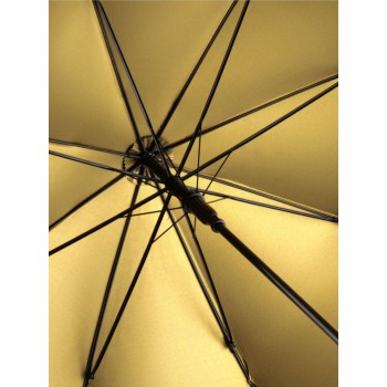 AC regular umbrella FARE DOUBL