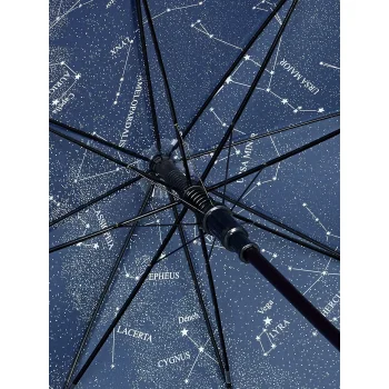 AC woodshaft regular umbrella