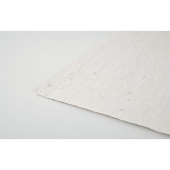 ASIDI - Foglio A4 in carta con semi