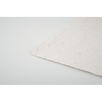 ASIDO - Foglio A6 in carta con semi