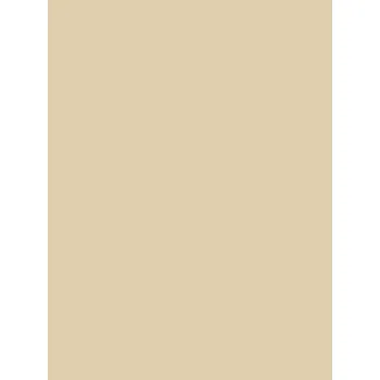 Baby Essential Hoodie