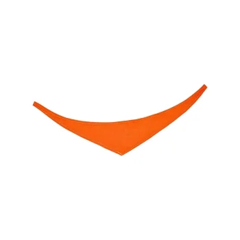 Bandana/ triangle scarf