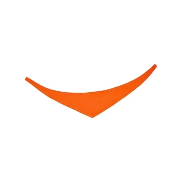 Bandana/ triangle scarf