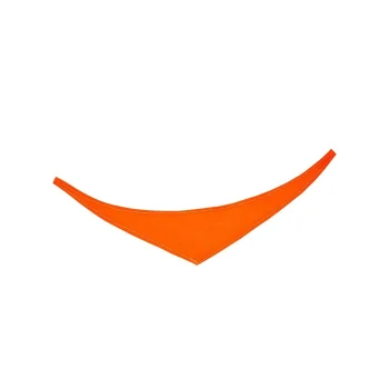 Bandana/ triangle scarf