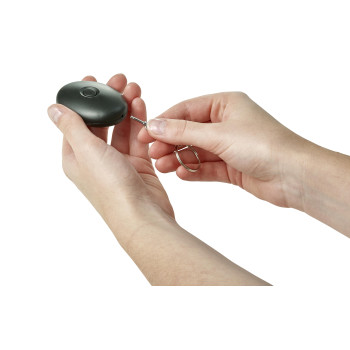 Cerca chiavi, in ABS Harold