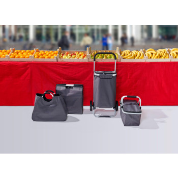 Cestino termico in poliestere 600 D Cassian