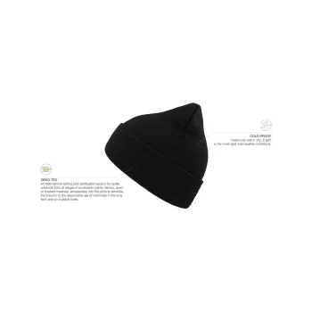 Eko Beanie