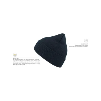 Eko Beanie