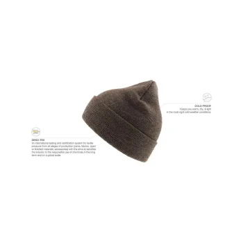 Eko Beanie