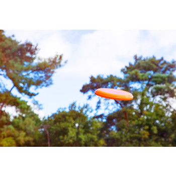 Frisbee Jolie