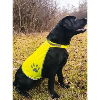Korntex Safety Vest for Dogs
