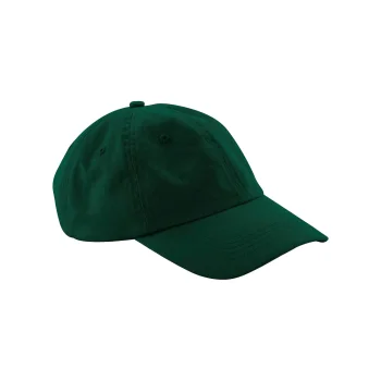Low Profile 6 Panel Dad Cap