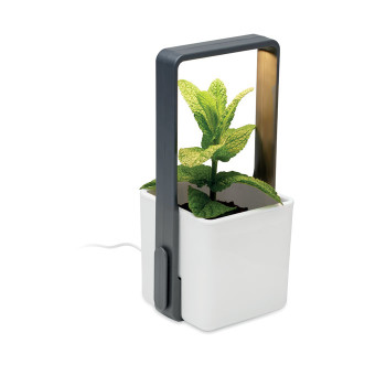LUSHLET - Giardino interno con luce LED