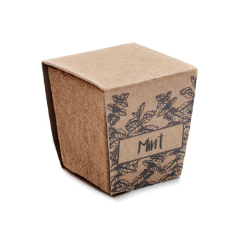 MINT KIT - Kit per la coltivazione di semi di
