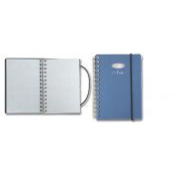 Notes- Renato Balestra