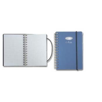 Notes- Renato Balestra