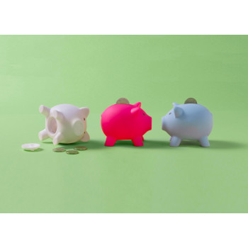 Salvadanaio maialino in PVC Roger