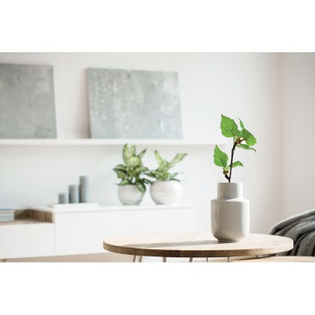 SAVAGE - Notebook in betulla A5