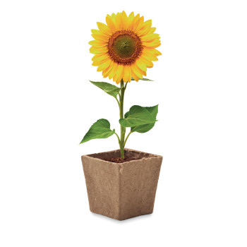 SUNFLOWER KIT - Kit per la coltivazione di semi