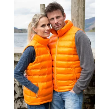 Womens Ice Bird Padded Gilet